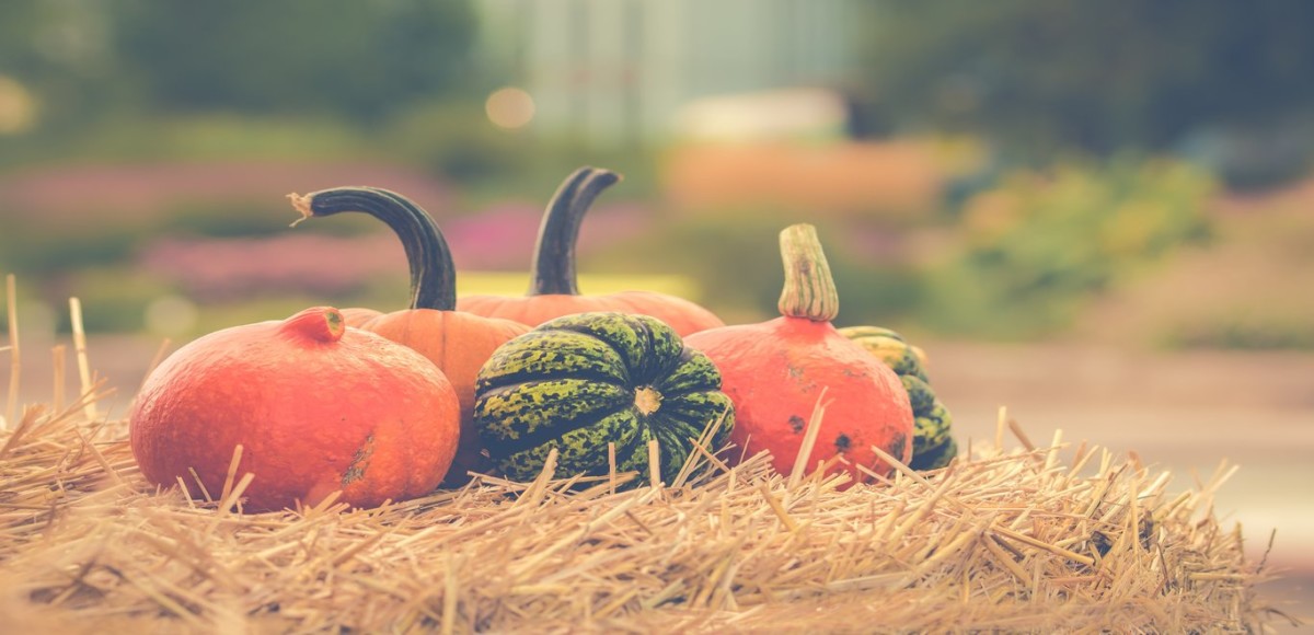 Colorful pumpkins and gourds sit on top of a hay bale