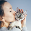 Woman is kissing and cuddling her sweet and cute looking Devon Rex cat. Kitten feels happy to be with its owner. Kitty sits in humans arms purrs.