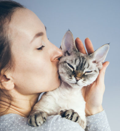 Woman is kissing and cuddling her sweet and cute looking Devon Rex cat. Kitten feels happy to be with its owner. Kitty sits in humans arms purrs.