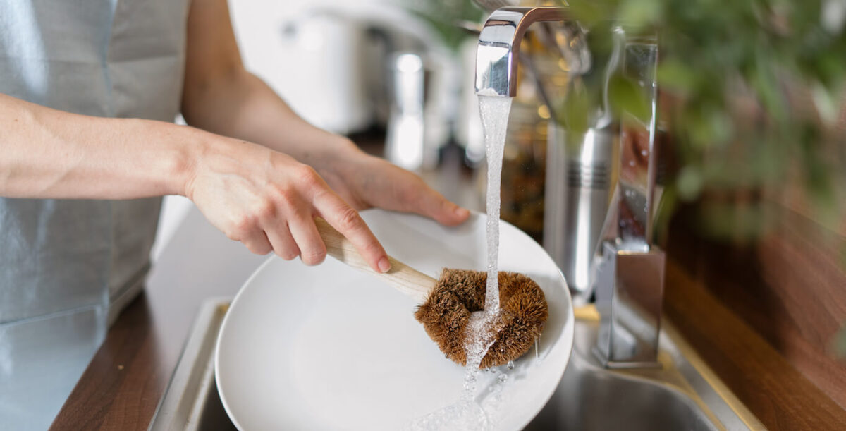 A person using an eco-friendly brush to wash a white plate