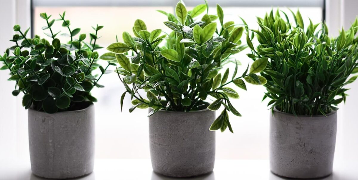 Three artificial plants in pots, sitting on a windowsill.