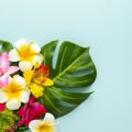 Tropical flowers and plants on a light blue background.