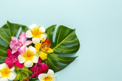 Tropical flowers and plants on a light blue background.