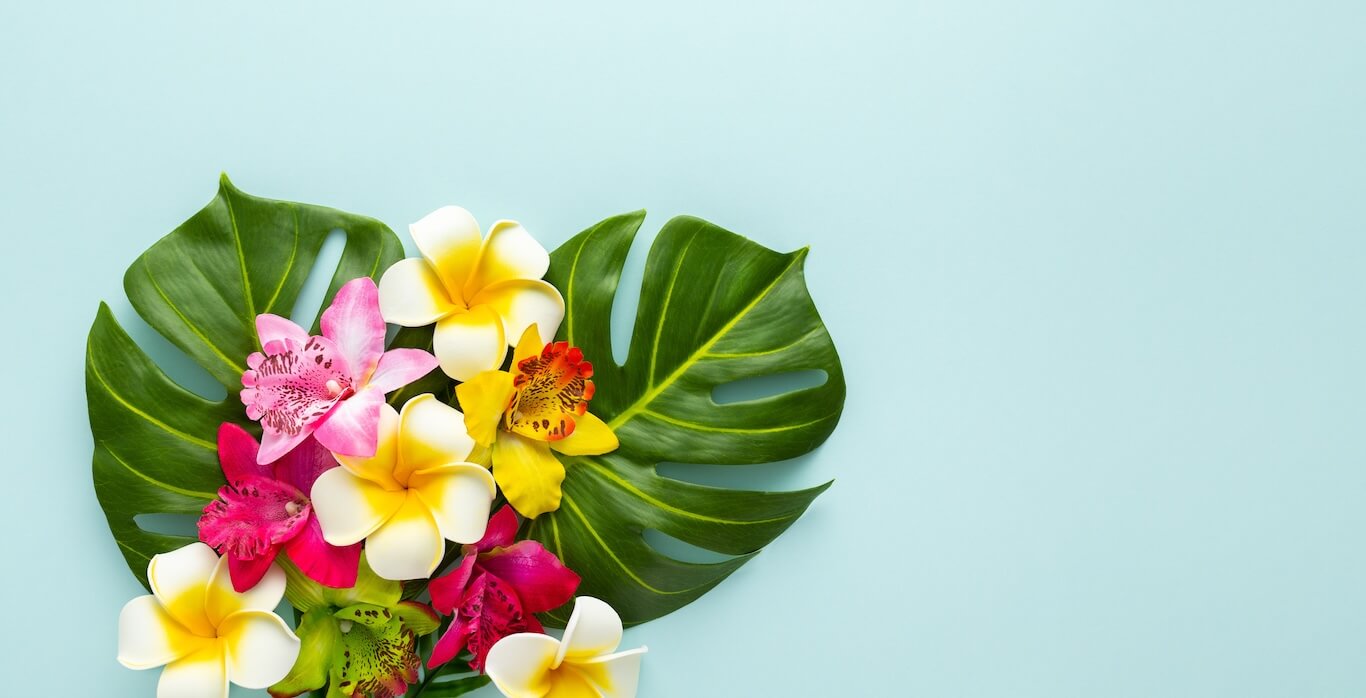 Tropical flowers and plants on a light blue background.